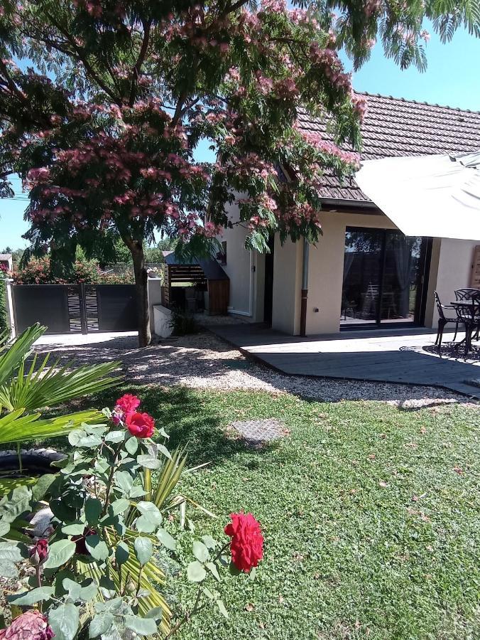 L'Albizia Gite Climatise St Maurice Saint-Maurice-en-Riviere Екстер'єр фото
