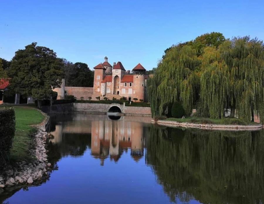L'Albizia Gite Climatise St Maurice Saint-Maurice-en-Riviere Екстер'єр фото
