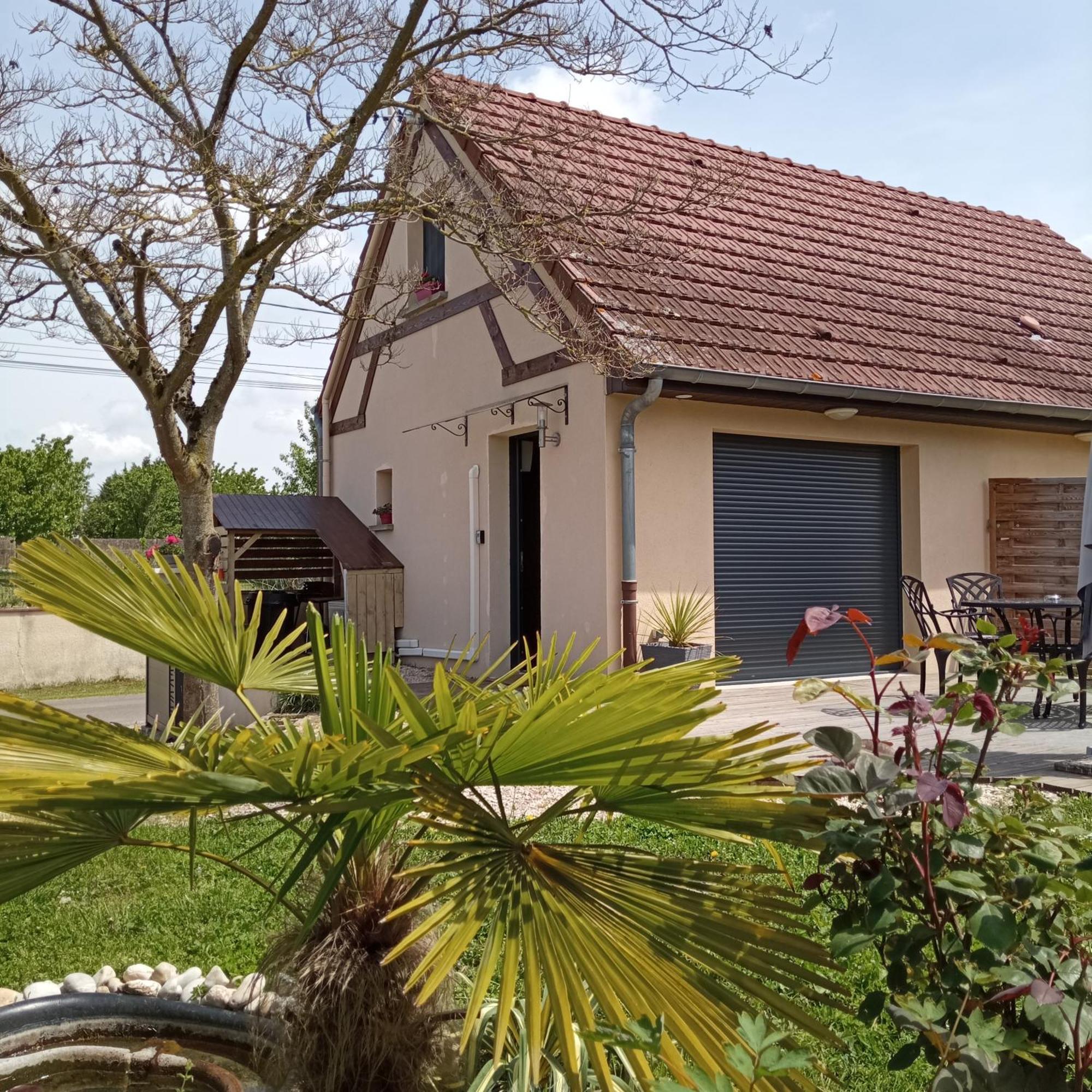 L'Albizia Gite Climatise St Maurice Saint-Maurice-en-Riviere Екстер'єр фото